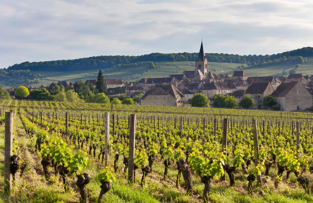 Bourgogne, Frankrijk